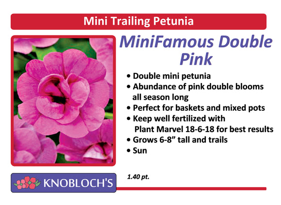 Petunia - Mini Trailing Mini Famous Neo Dbl. Pink
