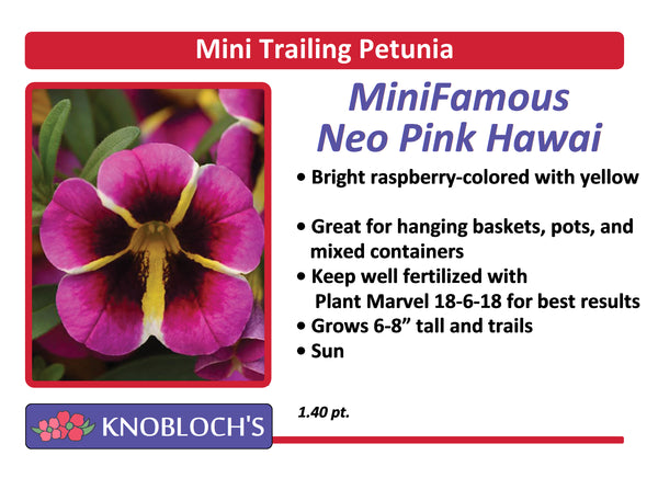 Petunia - Mini Trailing Mini Famous Neo Pink Hawaii