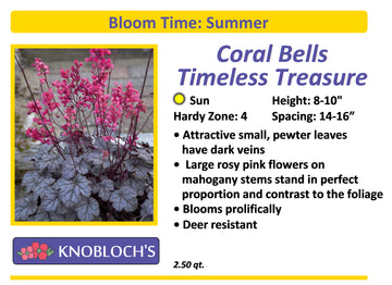 Coral Bells - Timeless Treasure