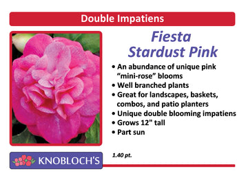 Impatiens - Dbl. Fiesta Stardust Pink