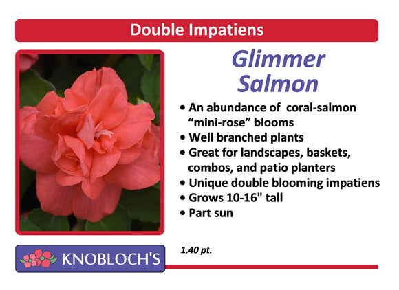 Impatiens - Dbl. Glimmer Salmon