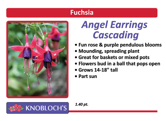Fuchsia - Angel Earrings Cascading