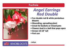 Fuchsia - Angel Earrings Red Double