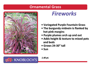 Grass - Fireworks