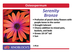 Osteo - Serenity Bronze
