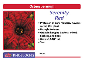 Osteo - Serenity Red