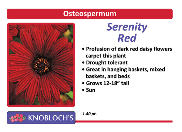Osteo - Serenity Red