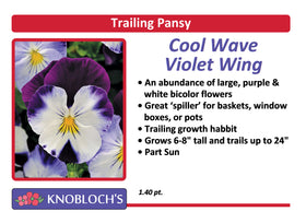 Pansy Trailing - Cool Wave Violet Wing