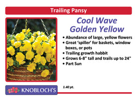 Pansy Trailing - Cool Wave Golden Yellow