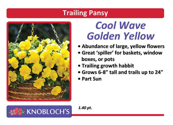Pansy Trailing - Cool Wave Golden Yellow