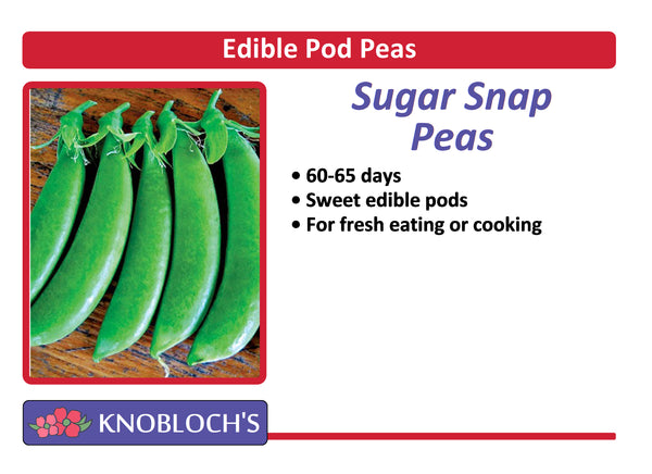 Peas - Sugar Snap