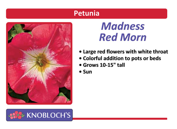 Petunia Traditional - Madness Red Morn (3 pk)
