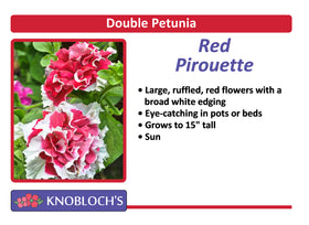Petunia - Double Pirouette Red