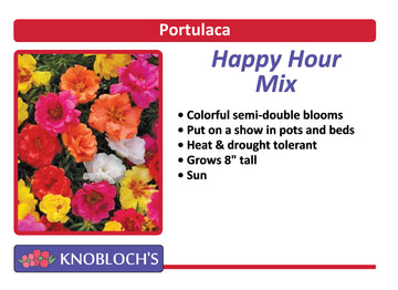 Moss Rose - Happy Hour Mix (3 pk)