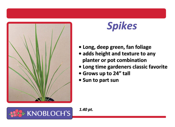 Spikes