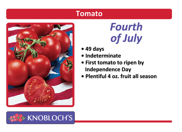 Tomato - Fourth of July
