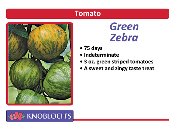 Tomato - Green Zebra