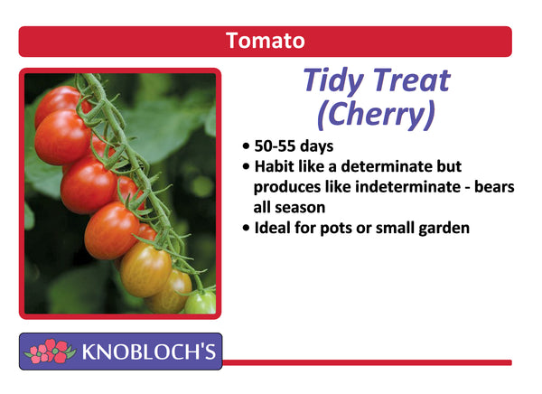 Tomato - Tidy Treats (Dwarf Cherry)