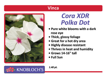 Vinca - Cora XDR Polka Dot