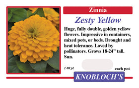 Zinnia - Zesty Yellow